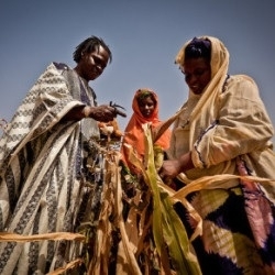 Climate Justice: Insights from African Anglican Theologians